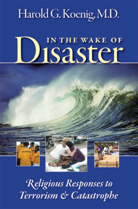 Cover image for book In the Wake of Disaster