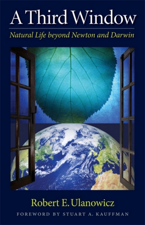 Cover image for book A Third Window