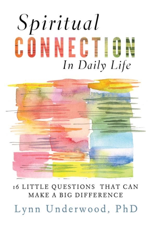 Cover image for book Spiritual Connection in Daily Life