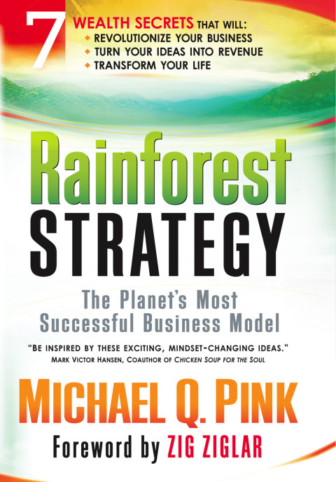 Cover image for book Rainforest Strategy