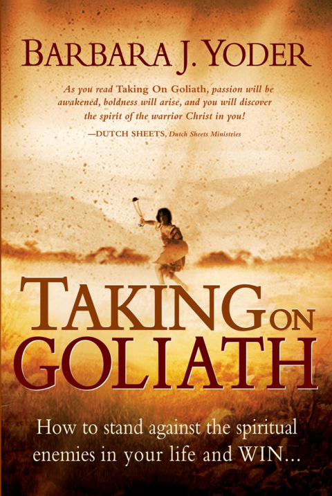 Cover image for book Taking On Goliath