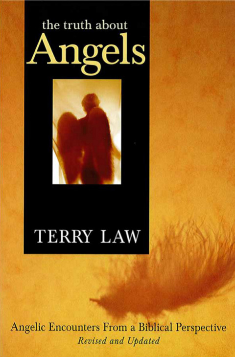 Cover image for book The Truth About Angels
