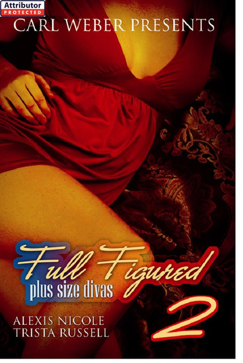 Cover image for book Full Figured 2: