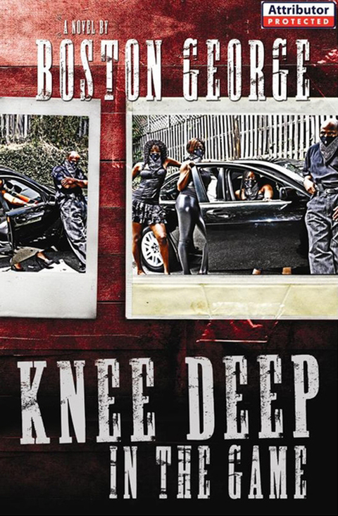 Cover image for book Knee Deep in the Game