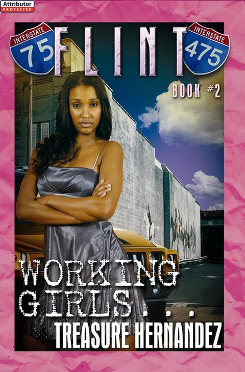 Cover image for book Flint; Book 2 - Working Girls (proprietary)