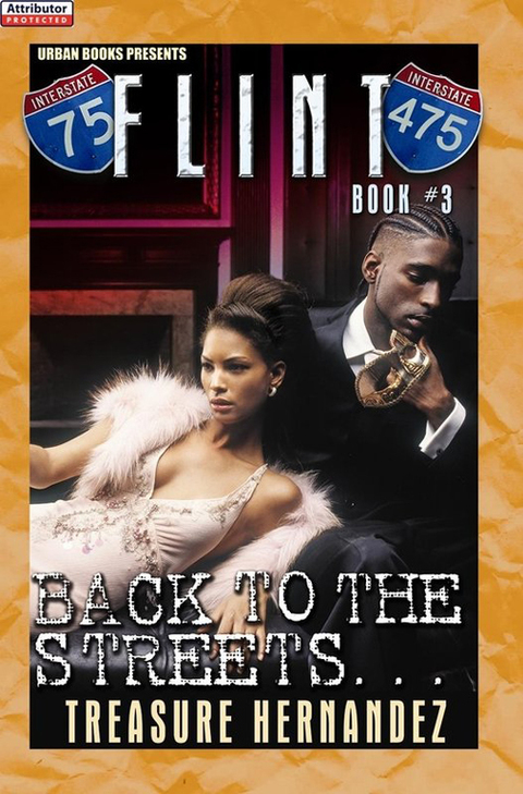 Cover image for book Flint Book 3: