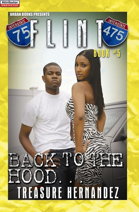 Cover image for book Flint Book 5: