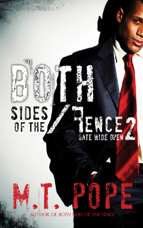 Cover image for book Both Sides of the Fence 2: