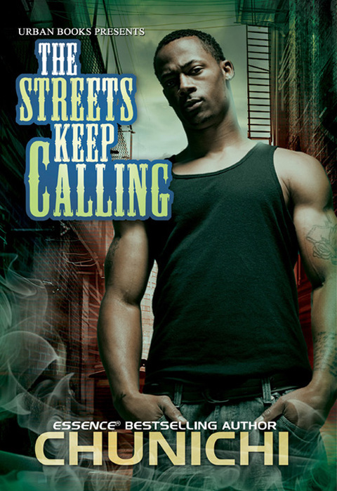 Cover image for book The Streets Keep Calling