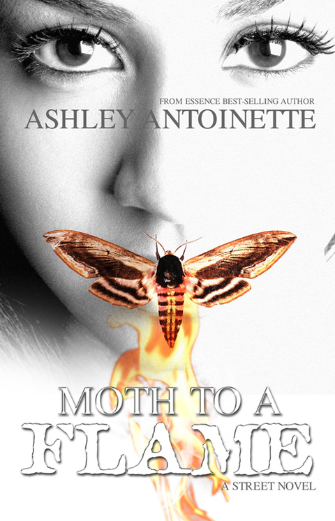 Cover image for book Moth to a Flame