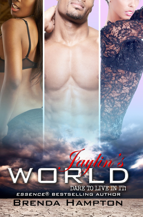 Cover image for book Jaylin's World
