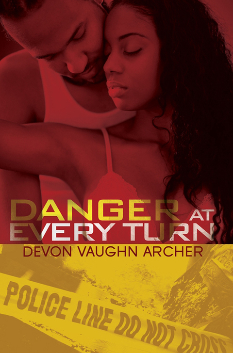 Cover image for book Danger at Every Turn