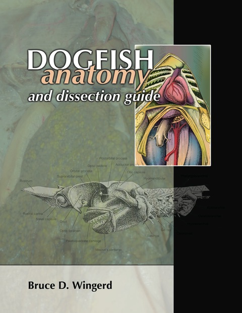 Cover image for book Dogfish Anatomy and Dissection Guide