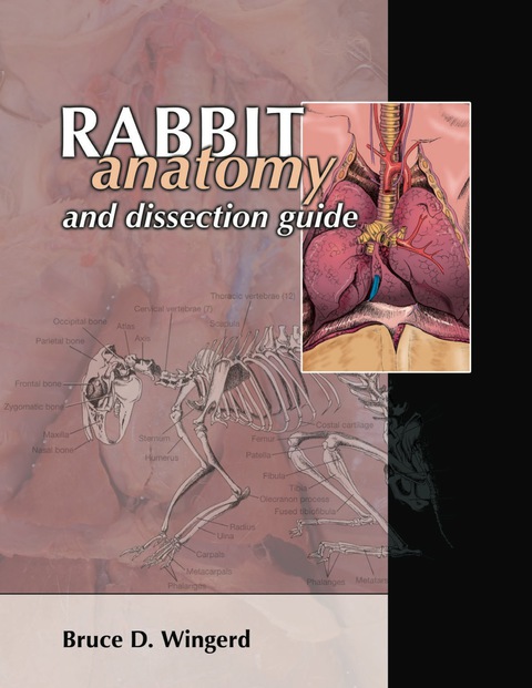 Cover image for book Rabbit Anatomy & Dissection Guide