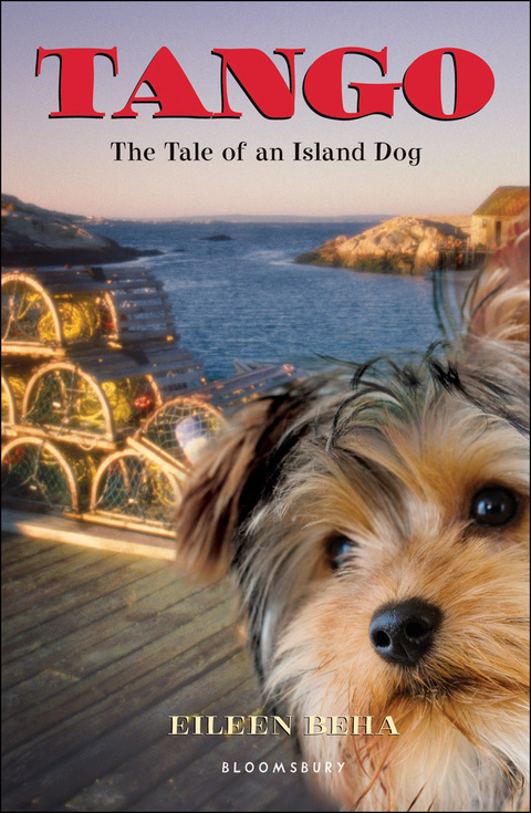 Cover image for book Tango