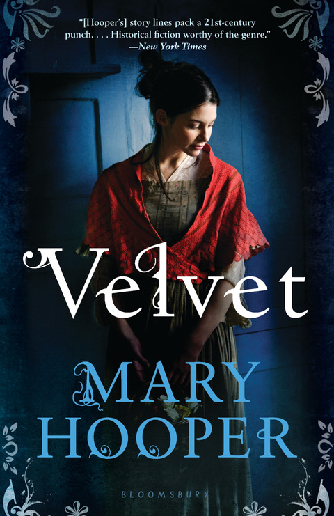 Cover image for book Velvet