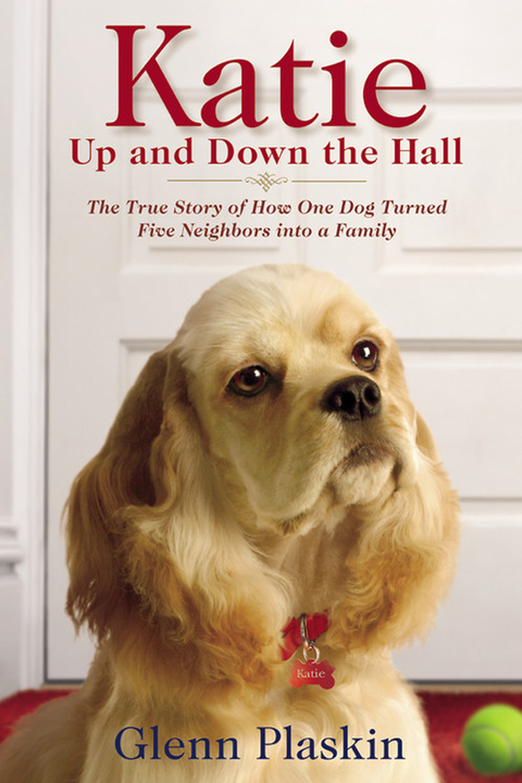 Cover image for book Katie Up and Down the Hall