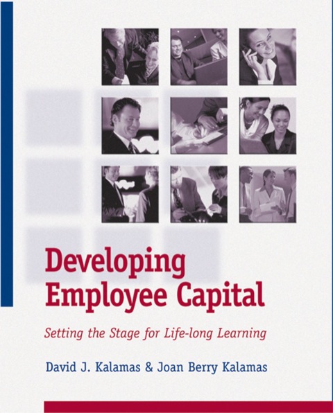 Cover image for book Developing Employee Capital