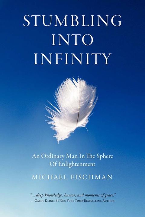 Cover image for book Stumbling Into Infinity