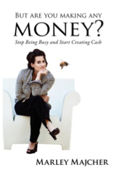 Cover image for book But Are You Making Any Money?