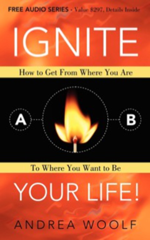 Cover image for book Ignite Your Life!