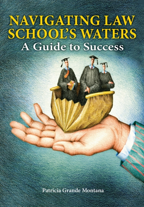Cover image for book Navigating Law School's Waters: A Guide to Success