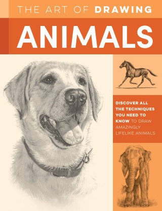 Art of Drawing Animals