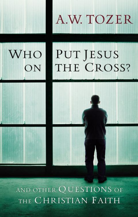 Cover image for book Who Put Jesus on the Cross?: And Other Questions of the Christian Faith
