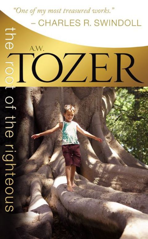 Cover image for book The Root of the Righteous
