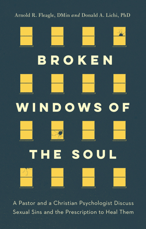 Cover image for book Broken Windows of the Soul