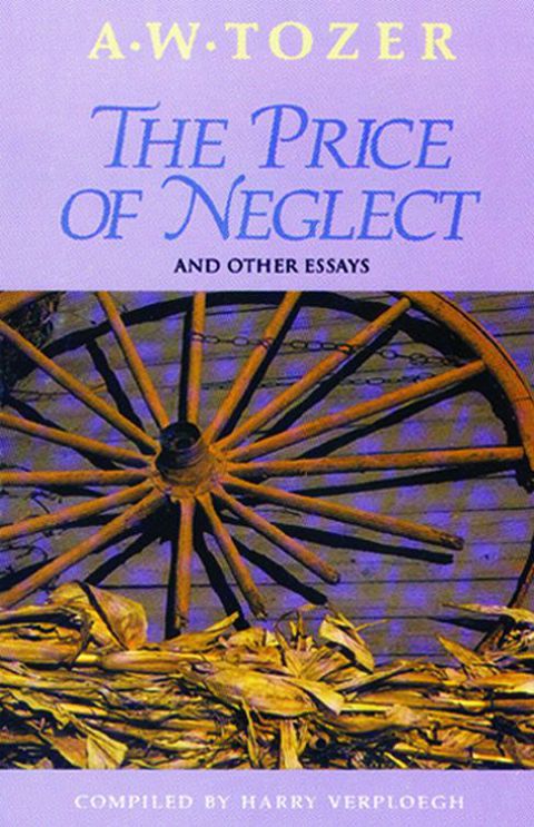 Cover image for book The Price of Neglect and Other Essays
