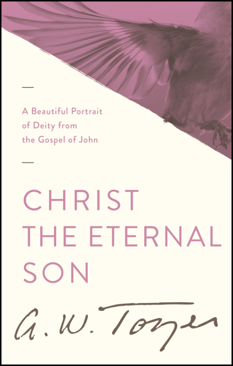 Cover image for book Christ the Eternal Son