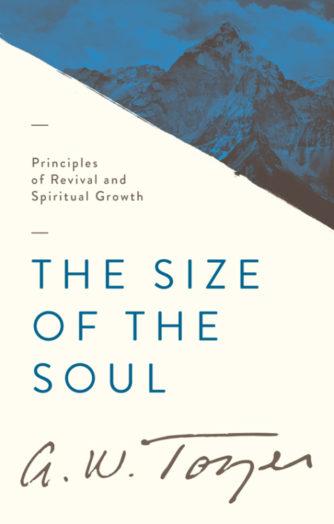Cover image for book The Size of the Soul