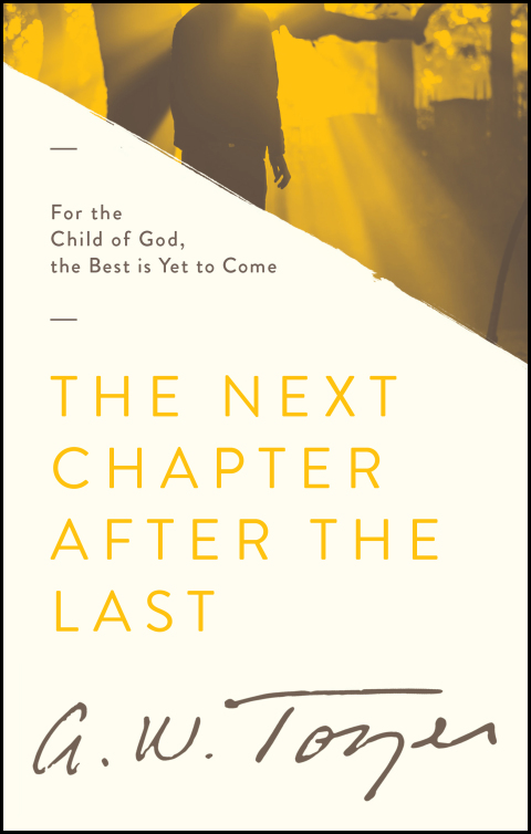 Cover image for book The Next Chapter After the Last