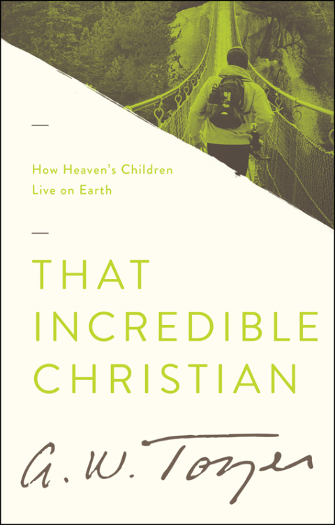 Cover image for book That Incredible Christian