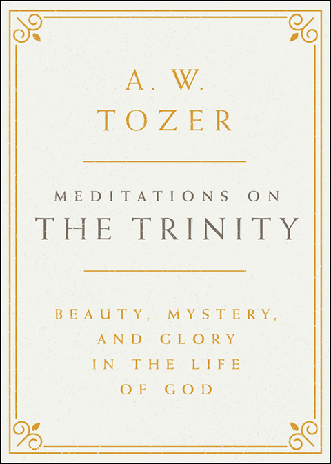 Cover image for book Meditations on the Trinity