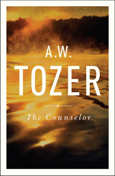 Cover image for book The Counselor