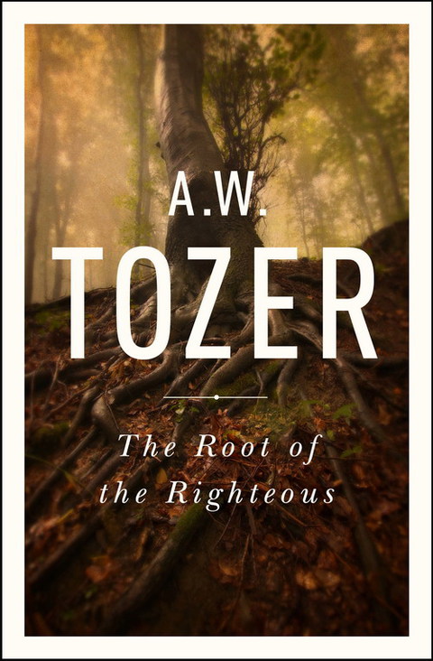 Cover image for book The Root of the Righteous