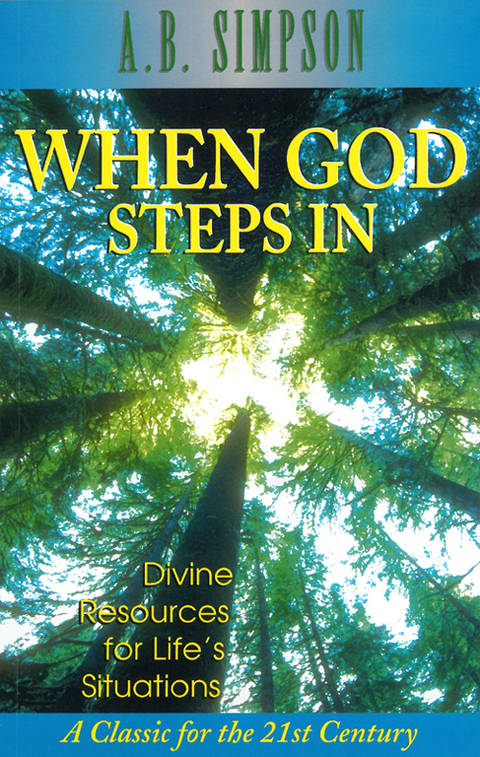 Cover image for book When God Steps In: Divine Resources for Life's Situations
