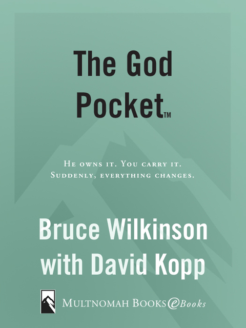 Cover image for book The God Pocket