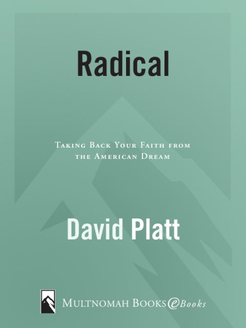 Cover image for book Radical