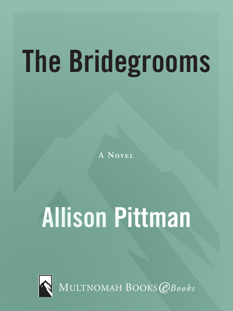 Cover image for book The Bridegrooms
