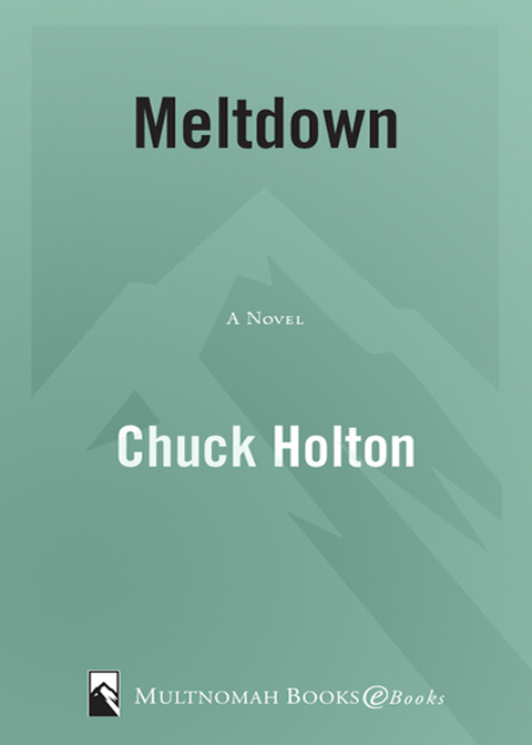 Cover image for book Meltdown