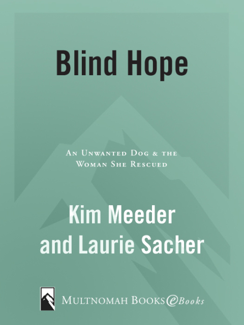 Cover image for book Blind Hope