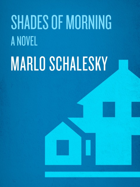 Cover image for book Shades of Morning