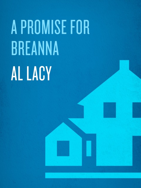 Cover image for book A Promise for Breanna