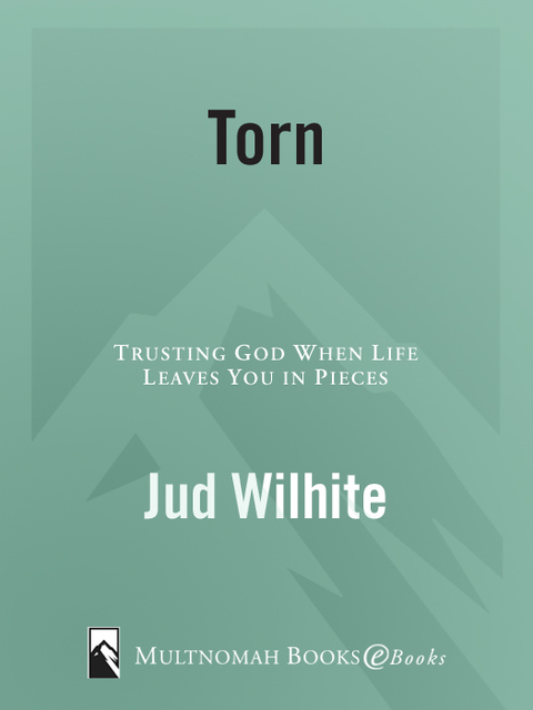 Cover image for book Torn