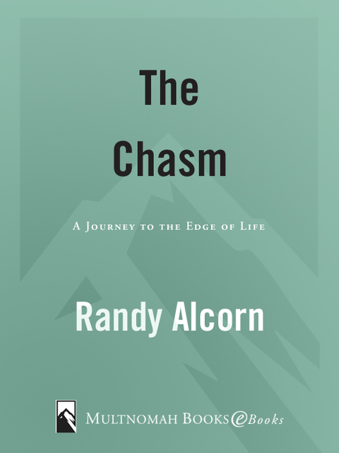 Cover image for book The Chasm