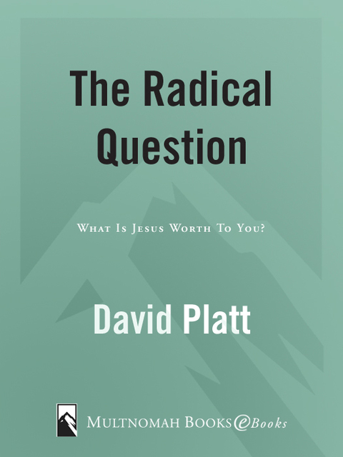 Cover image for book The Radical Question