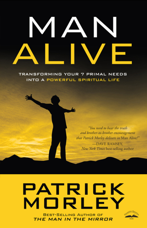 Cover image for book Man Alive